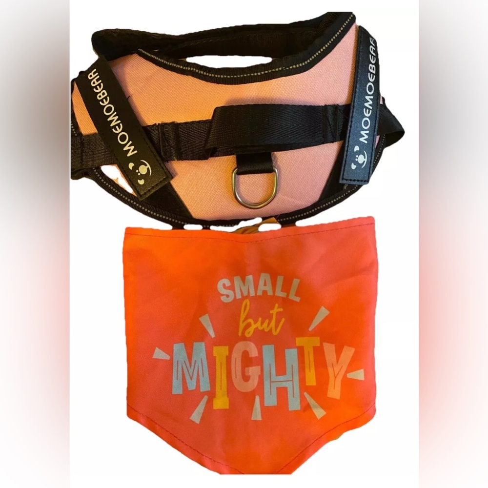 Small Dog Harness With Clip That Locks and Bandanna Small But Mighty